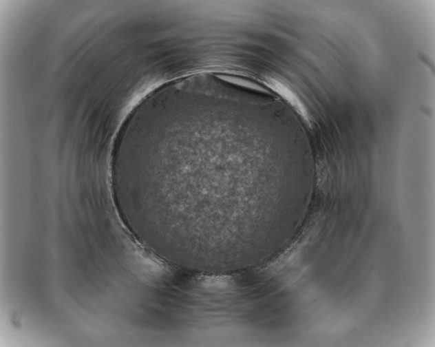 X0000091201043200708161610
