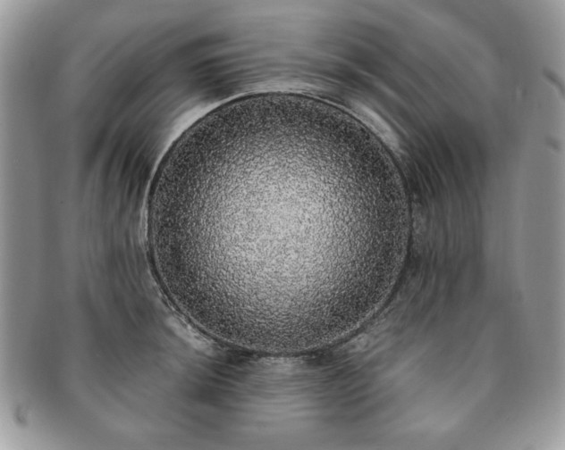 X0000091201044200708161610