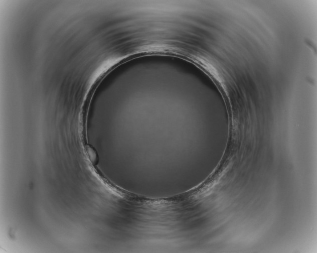 X0000091201045200708161610