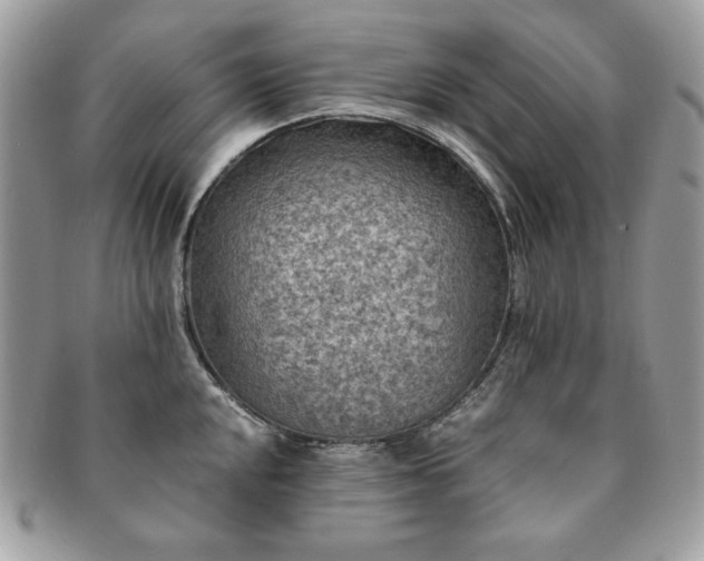 X0000091201048200708161610