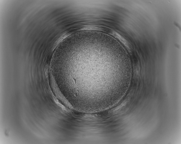 X0000091201049200708161610