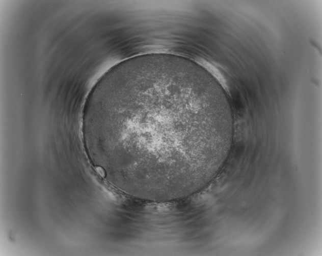X0000091201051200708161610