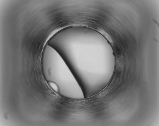 X0000091201052200708161610