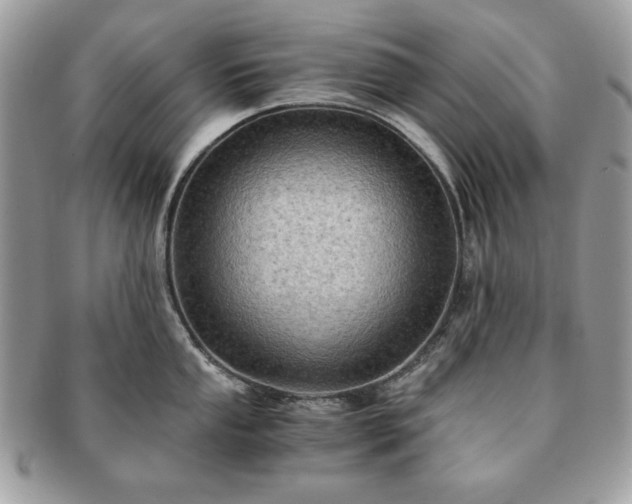 X0000091201053200708161610