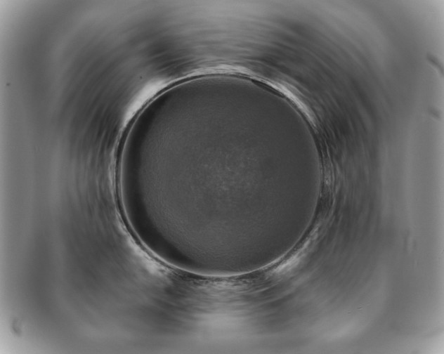 X0000091201054200708161610