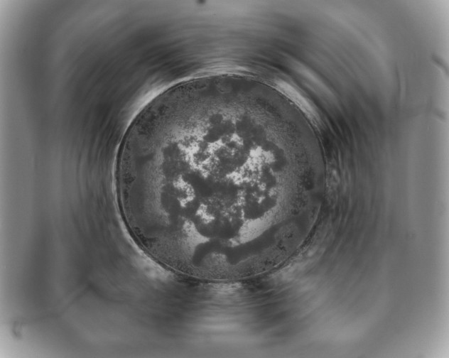 X0000091201055200708161610