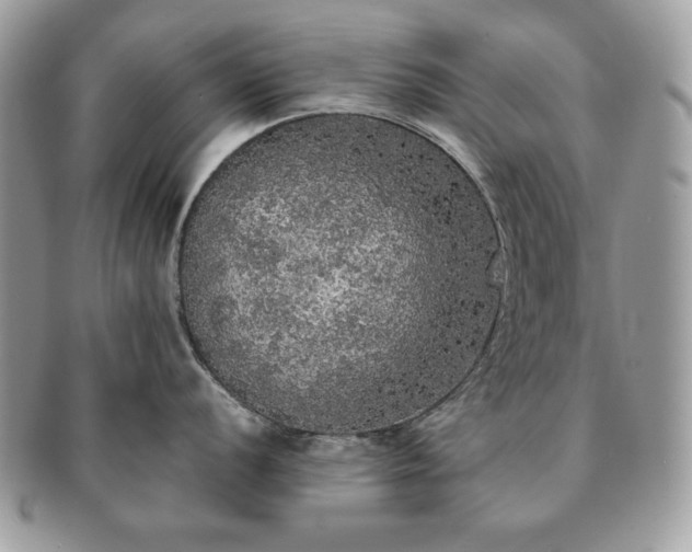 X0000091201056200708161610