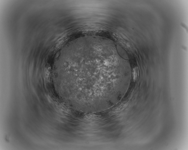X0000091201059200708161609