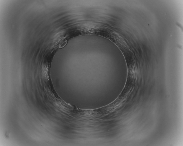 X0000091201060200708161609
