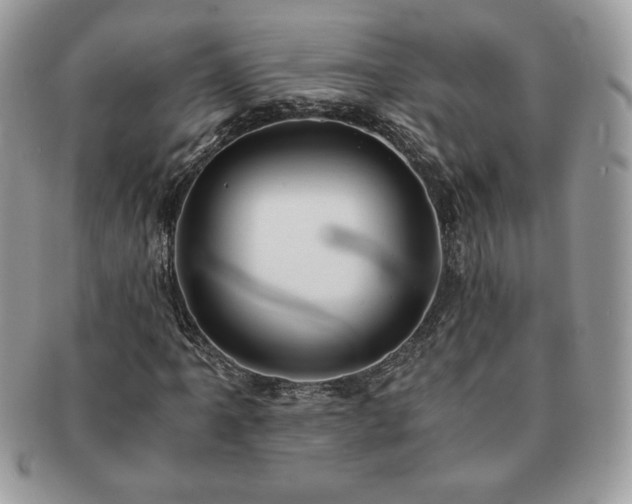 X0000091201061200708161609