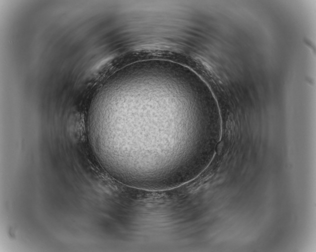 X0000091201062200708161609