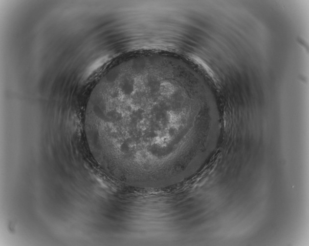 X0000091201064200708161609