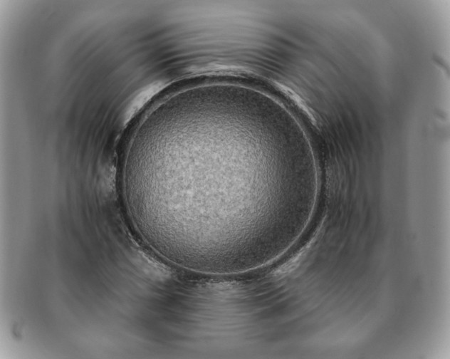 X0000091201066200708161609