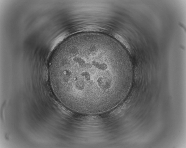X0000091201067200708161609