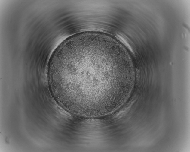 X0000091201068200708161609