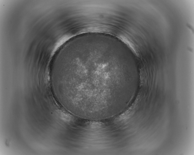 X0000091201070200708161609