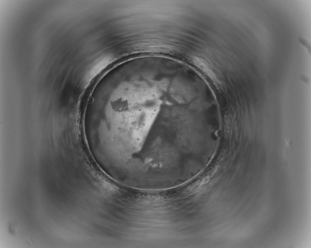 X0000091201071200708161609