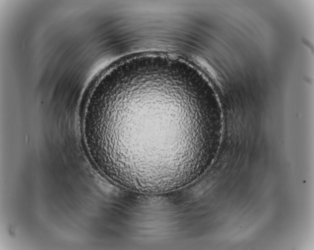 X0000091201072200708161609