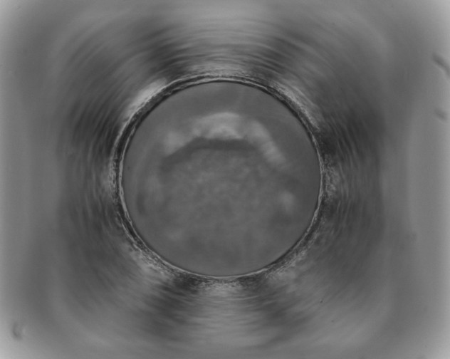 X0000091201074200708161609