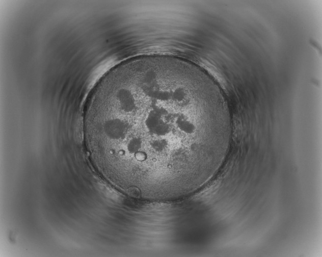 X0000091201075200708161609