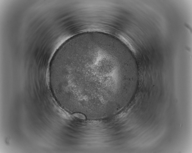 X0000091201076200708161609