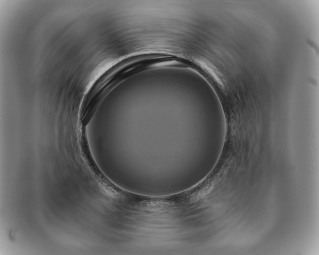 X0000091201077200708161609
