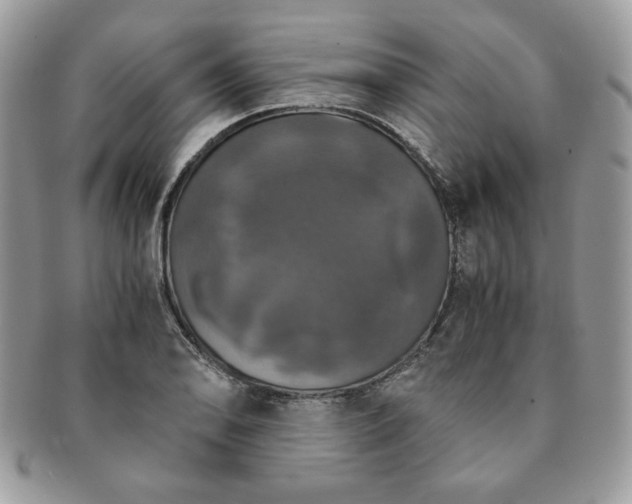 X0000091201078200708161609