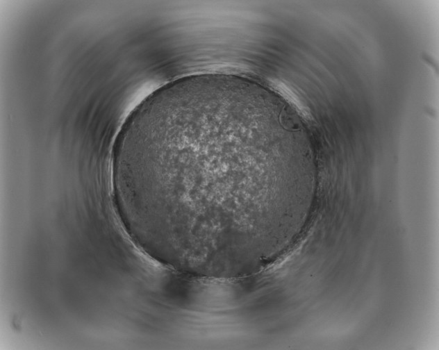 X0000091201079200708161609