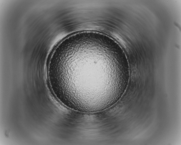X0000091201080200708161609