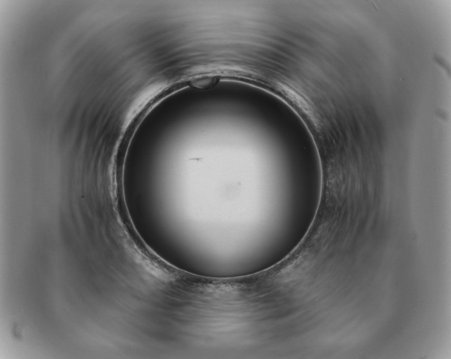 X0000091201082200708161609