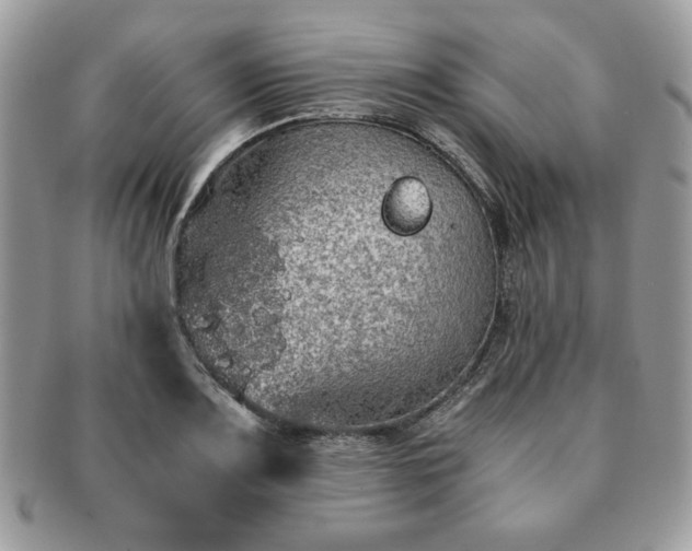 X0000091201083200708161609