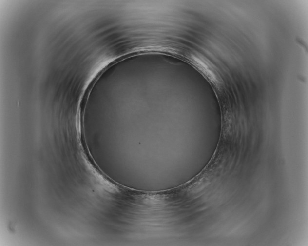 X0000091201084200708161609