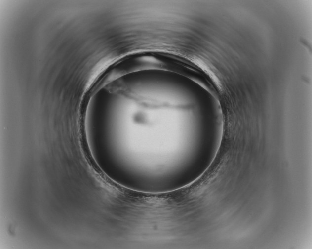 X0000091201085200708161609