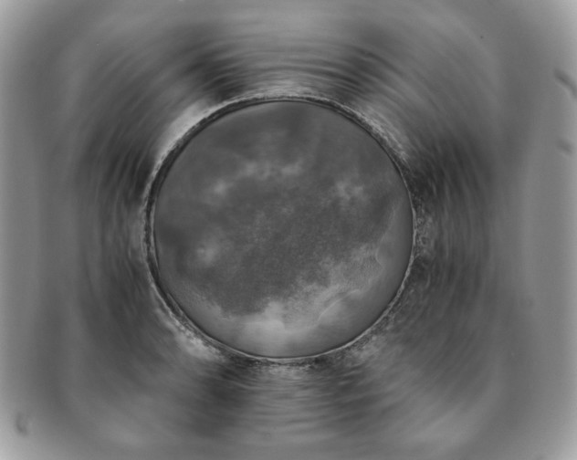 X0000091201086200708161609