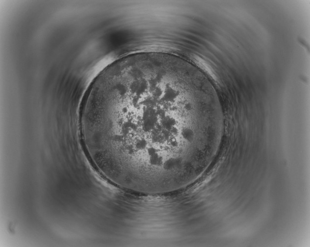 X0000091201087200708161609