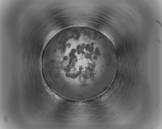 X0000091201088200708161609