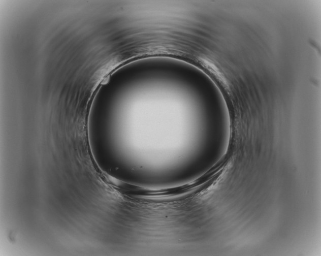 X0000091201089200708161609