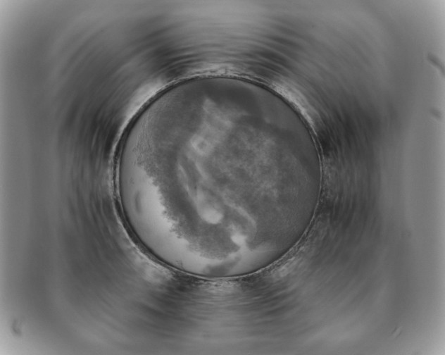 X0000091201090200708161609