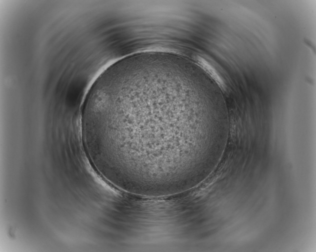 X0000091201092200708161609