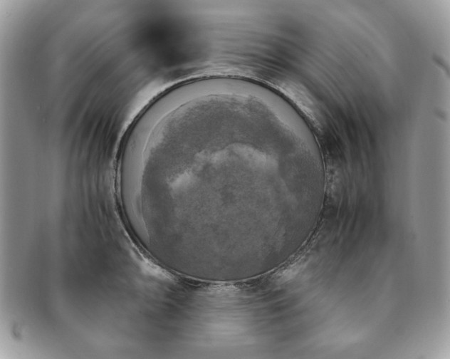 X0000091201094200708161609