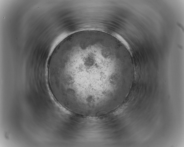X0000091201096200708161609
