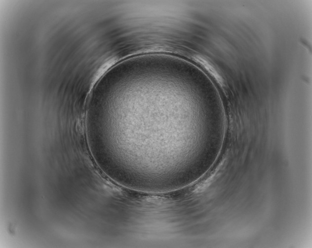 X0000091201097200708161609