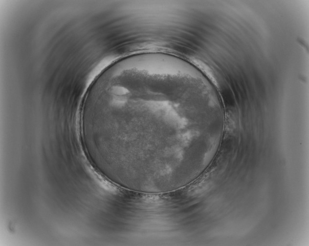 X0000091201098200708161609