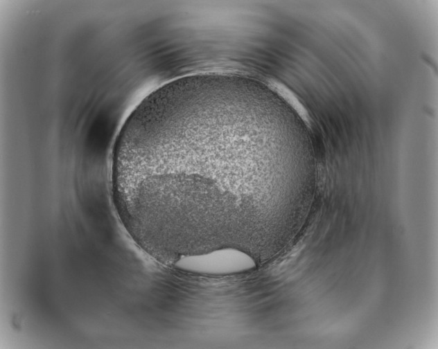 X0000091201099200708161609