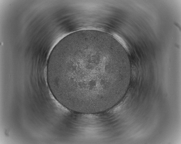 X0000091201100200708161609