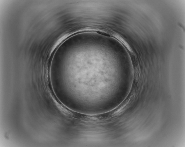X0000091201101200708161609