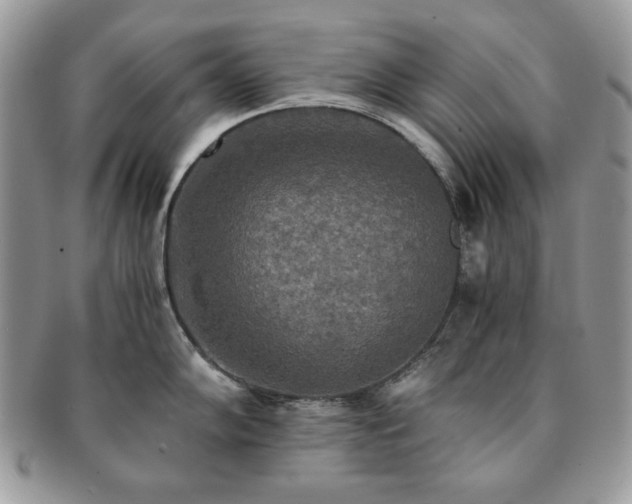 X0000091201102200708161609