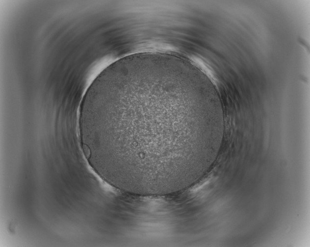 X0000091201103200708161609