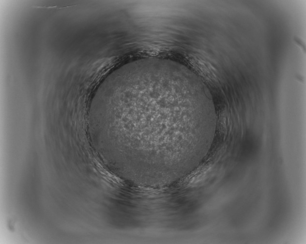 X0000091201105200708161608