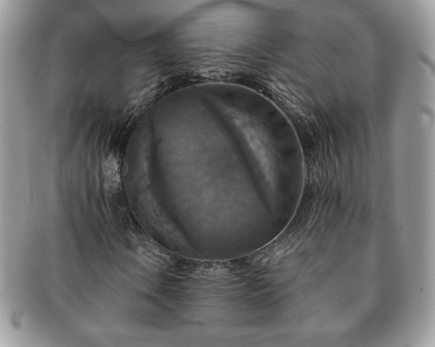 X0000091201106200708161608